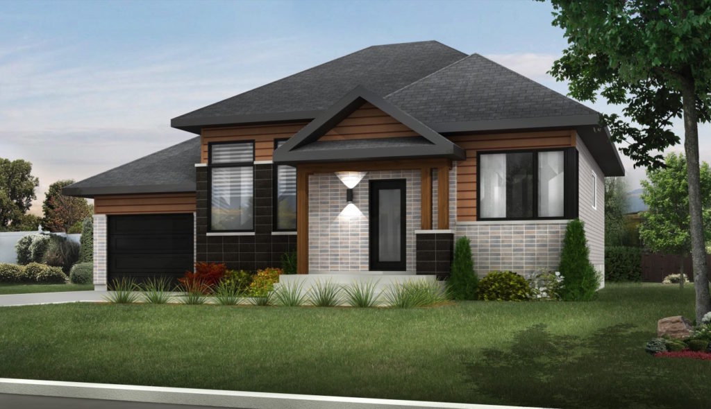 Camomille II 1400x907 1